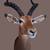 Taxidermy 5 thumbnail
