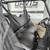 2025 POLARIS RANGER 570SP CREW, ROOM FOR 4, WARRANTY, SAVE $ 2,700.00 12 thumbnail