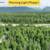 READY TO BUILD!  Lots available in Brand New Premier Subdivision 1 thumbnail