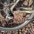 2005 Giant Iguana 19" 4 thumbnail