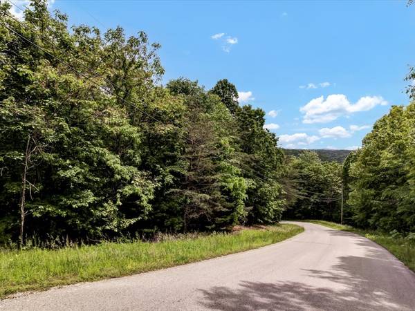$20,000 Lote arbolado de 2.4 acres con paisaje en Lone Mountain Shores (New Tazewell)63815667751041124