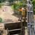 Grading, trenching, Underground Utilities, Backhoe, Bobcat 4 thumbnail