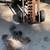 1967-72 Chevy GMC Cheyenne C10 C20 C30 Truck Parts 4 thumbnail