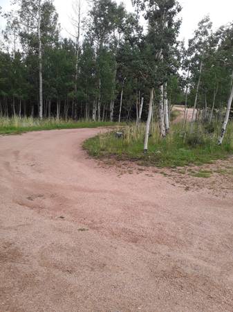 $1,500 / 1br - 950ft2 - FURNISHED MONTHLY 1 BEDROOM CABIN (Cripple Creek)63658179546753122