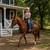 Two Dependable Trail Mares • Beginner & Advanced Beginner Options 1 thumbnail