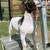 FFA/4H SHOW GOAT PROJECTS RISING VALLEY LIVESTOCK 4 thumbnail