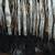 *P  fire damaged artsy stuff very unusual items 5 thumbnail