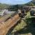 Tree service/landscaping/tractor  work, Woodside, portola,los altos,sa 7 thumbnail