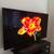 Samsung oled 83 inch s90c 4 thumbnail