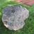 Large Lava Cinder Rocks for Landscaping - 8 each 8 thumbnail