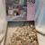 Vintage Cats 550 Pc Jigsaw Puzzle "Tea Rose Playtime" by Ruane Manning 5 thumbnail