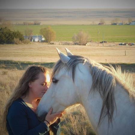 Spooky horse? Unhandled, abused, feral? I can help 1