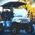 $279.97/m $0 Down! Denago Rover XL Street Legal LSV WHITE-NO FEES/TAX 3 thumbnail