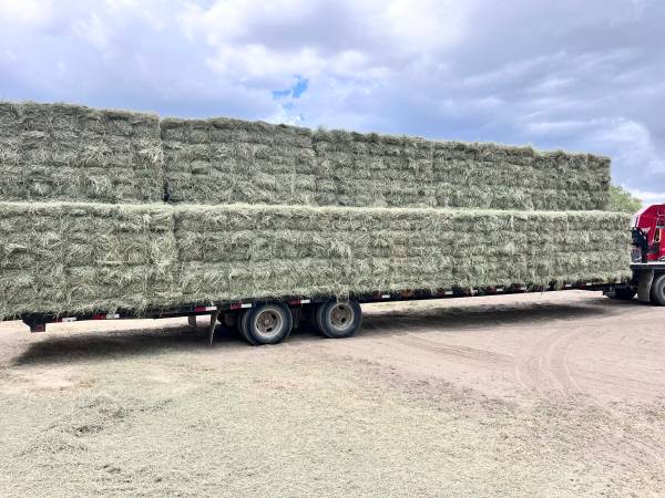 Coastal Horse Quality Square Bales 1