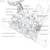 native plant gardener and designer open to new clients 2 thumbnail