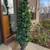 7.5 ft tall imitation pine tree (price for 2) 3 thumbnail