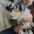 AKC Aussie 3 thumbnail