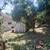 Pressure Washing - Window Cleaning - Junk Removal - Landscaping 8 thumbnail