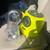 Dash Premium Blender - Lime and Beautiful! NeW Tested 5 thumbnail