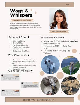DOG WALKER/DOG SITTER 1