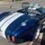 ✅ 1965 Shelby Cobra Replica Backdraft Racing Superformance ERA 289 FIA 3 thumbnail
