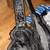 Gibson ES339 3 thumbnail