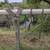 Tack for horses 10 thumbnail