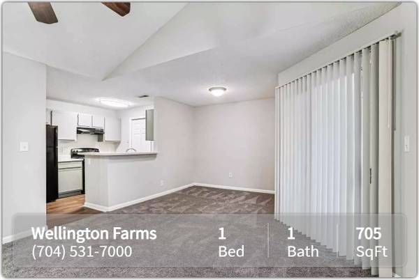 $1,155 / 1br - 705ft2 - Now showing! Gorgeous 705 Sq Ft 1 bed, 1 bath! Wonderful deal! (Charlotte)63925335429378121