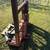 8” tree cutter 1 thumbnail