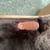 Acoustic Guitar Case 6 thumbnail