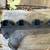 1988-1995 Ford 460  Exhaust Manifold Truck & Van 3 thumbnail