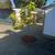 Single-Family Home (3 Bed / 1 Bath) 8 thumbnail
