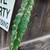 LARGE CACTUS PLANT  has thorns 9 thumbnail