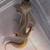 leopard geckos 2 thumbnail