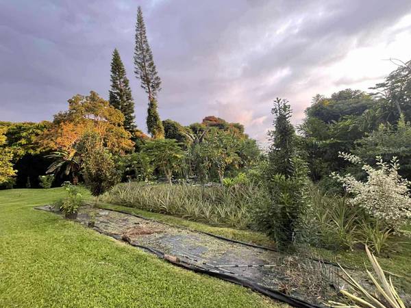 $4,200 / 4br - Farm House (Captain Cook, Kona)63939534828802122