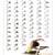 2 Pilates Posters Intermediate and Advanced Reformer 2 thumbnail
