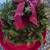 Christmas Wreath w/ Lights and Storage Case 1 thumbnail