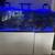 Redsea reefer 750 XXL G2 White (Aquarium, fish tank) 1 thumbnail