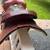 Horse Saddle 13 thumbnail