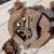 Hoist BLOCK SCREW GEARED Industrial Winch Cherry Picker Cast Iron Geared Block Y 5 thumbnail