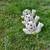 Terracotta Snails Yard Decor 5 thumbnail