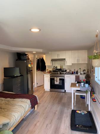 Beautiful Studio Suite for Rent 1