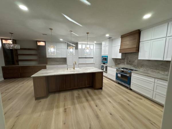 Remodeling Skilled help needed 1