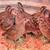 Eight Bobwhite Quail 5 thumbnail