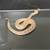 Female Ball Python 4 thumbnail