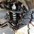 2007 Toyota FJ Cruiser 4x4 6-Speed!!! AMAZING SHAPE! FALKEN AT4W 3 thumbnail