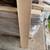 NEW WHITE OAK FLOORING 1 thumbnail