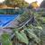 Landscaping, Gardening, Fall Clean ups 14 thumbnail