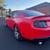 2011 Ford Mustang Gt 5.0 6 speed manual 8 thumbnail
