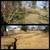 Bobcat/ Excavator Services 7 thumbnail